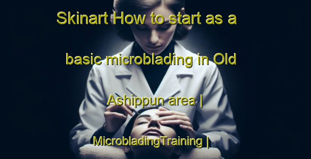 Skinart How to start as a basic microblading in Old Ashippun area | MicrobladingTraining | MicrobladingClasses | SkinartTraining-United States